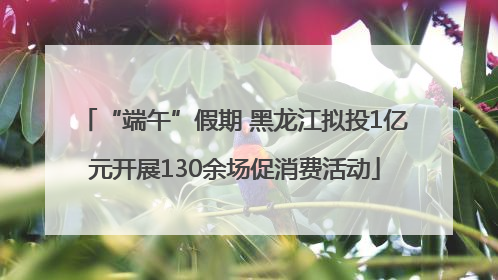 “端午”假期 黑龙江拟投1亿元开展130余场促消费活动